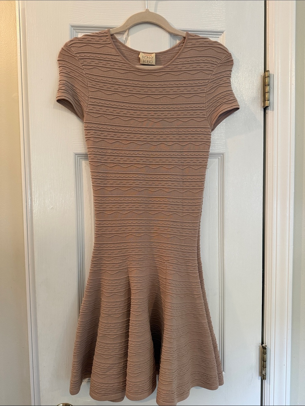 Torn by Ronny Kobo Short-Sleeve Textured Fit-and-Flare Dress in Mauve